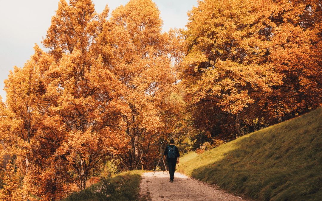 L’Arboretum aux couleurs de l’automne